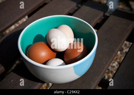 Schüssel mit Freilandhaltung unregelmäßig geformt und bunten Eiern Stockfoto