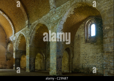 Abtei von L'Escaladieu, Bonnemazon, Hautes Pyrenäen, Frankreich Stockfoto