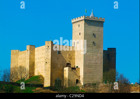 Mittelalterliche Burg Mauvezin, Hautes-Pyrenäen, Frankreich Stockfoto