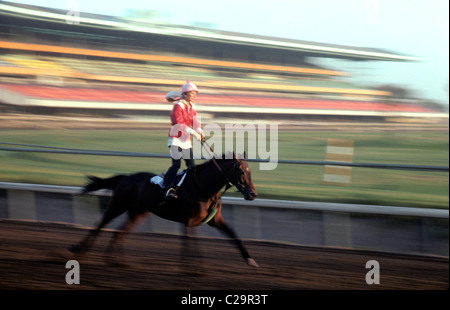 Frau Jockey setzt sich in die Steigbügel während der Arbeit aus Vollblut-Rennpferd in Golden Gate Fields. Stockfoto