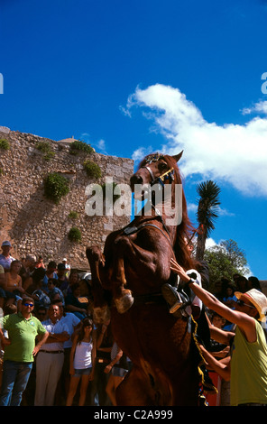 Jaleo mit Menorquina Pferde auf dem jährlichen Sant Nicolau Pferdefest, Monte Toro, Es Mercadal, Menorca Insel, Balearen, Spanien Stockfoto