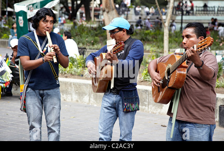 Traditionelle mexikanische Band Oaxaca-Stadt-Mexiko Stockfoto