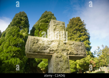 Grabstein und Eibe Bäume in der Sonne in Penrith, Cumbria Stockfoto