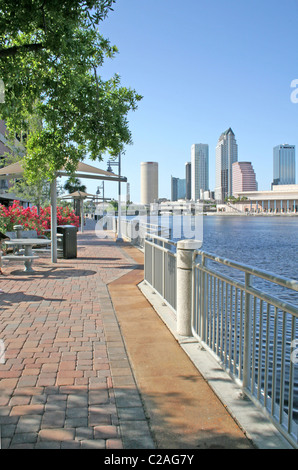 Skyline von Hillsborough Bay 2008, Tampa Florida Stockfoto