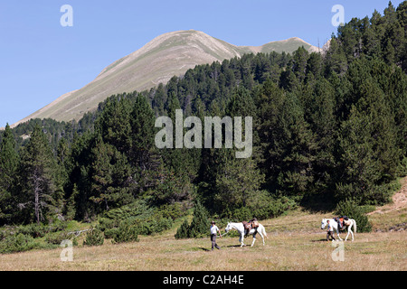Zwei Reiter mit Pferden Coll d'Ordino Andorra Stockfoto