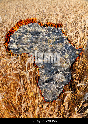 keine Hoffnung für Afrika:, trockene Flecken des Landes in der Form von Afrika mitten in einem Weizenfeld Stockfoto