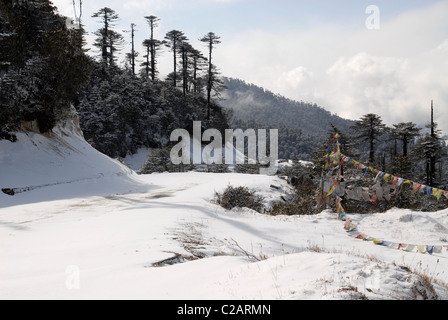 Straße bedeckt mit Schnee am Thrumshingla-Pass, der Grenze zwischen Mittel- und Osteuropa Bhutan vollständig Stockfoto