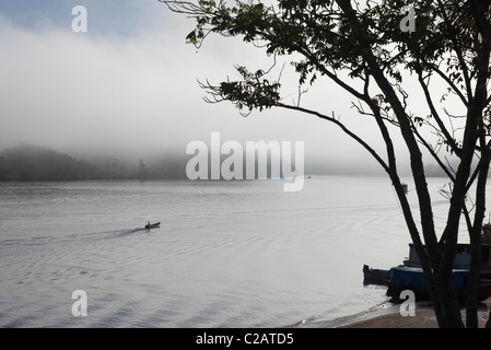 Südamerika, Amazonas, Nebel über Regenwald Fluss entlang Stockfoto