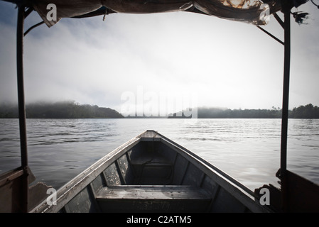 Südamerika, Amazonas, Boot flussabwärts, persönliche Perspektive Reisen Stockfoto