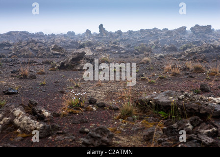 Plaine des Sables Vulkans Piton De La Fournaise, Réunion (französische Übersee-Departement im Indischen Ozean) Stockfoto