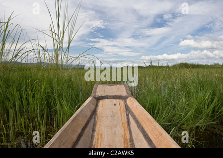 Inle-See, Myanmar, Boot mitten im Reisfeld, persönliche Perspektive Stockfoto