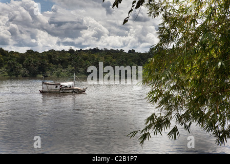 Südamerika, Amazonas, Boot Fluss unterwegs Stockfoto