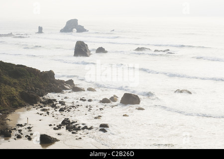 Felsenküste, Cannon Beach, Oregon, USA Stockfoto