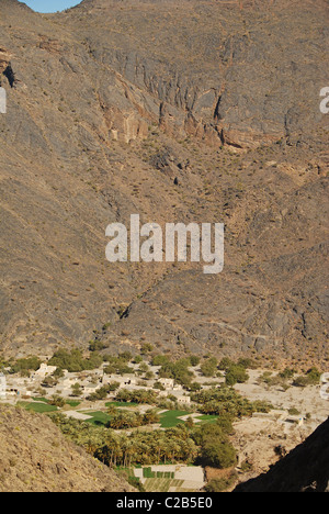 Oman, Wadi Bani Awf, Hatt, schöne grüne Felder, traditionelle sonnenverbrannte Häuser und Bäume Palmenplantagen im Dorf Hut Stockfoto