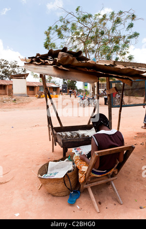 Afrikanische Frau verkaufen Trockenfisch aus ihrem Stall in Kisarwe Dorf in der Nähe von Daressalam / Tansania Stockfoto