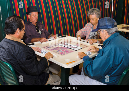 Domino Player, Little Havana, Miami Stockfoto