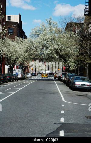 Ein yellow Cab in den Vororten von New York mit Autos auf beiden Seiten der Straße geparkt. Stockfoto