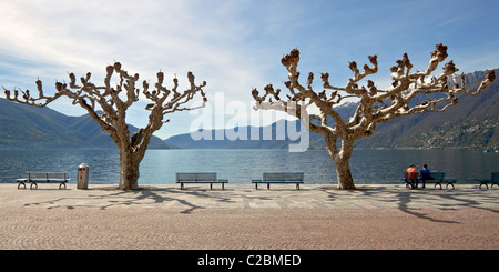 Ascona im Tessin, Schweiz Stockfoto