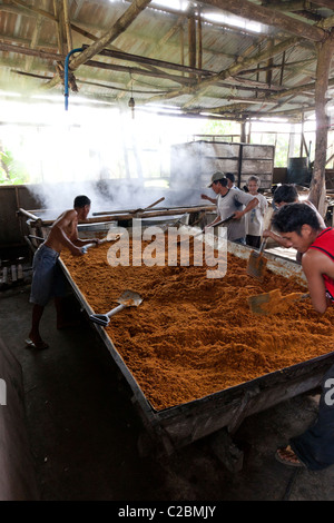 Philippinische Arbeiter Verarbeitung Muscovado-Zucker in eine Zuckerfabrik. Die Philippinen Stockfoto