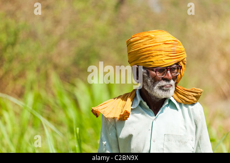 Indisches Bauernporträt, älterer Mann in goldenem Turban und Brille, Valsang, Maharashtra, Indien Stockfoto
