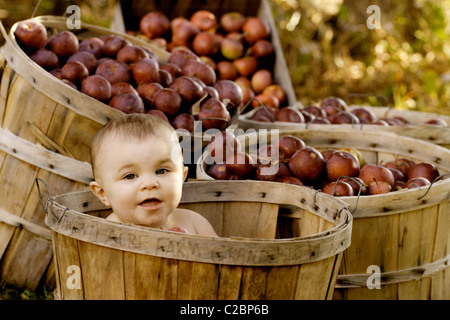 Babymädchen in einem Apple-Korb auf dem 20 Hektar großen Bauernhof in Grand Isle, Vermont. Stockfoto