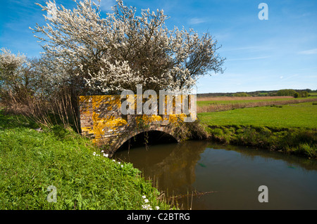 Gemauerte Brücke über einen Bach mit einem Baum In Blüte südlich von Tenterden Kent Stockfoto
