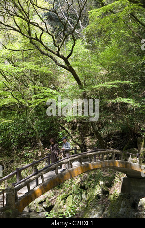 Takachiho Schlucht Insel Kyushu, Japan Stockfoto