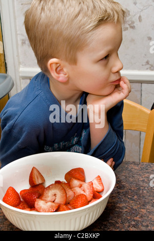 Nachdenklichen jungen Alter 4 einen Darm geschnittene Erdbeeren genießen. St Paul Minnesota MN USA Stockfoto