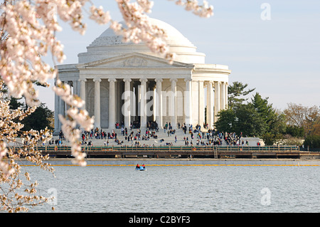 Thomas Jefferson Memorial umrahmt von Kirschblüten in voller Blüte. Stockfoto