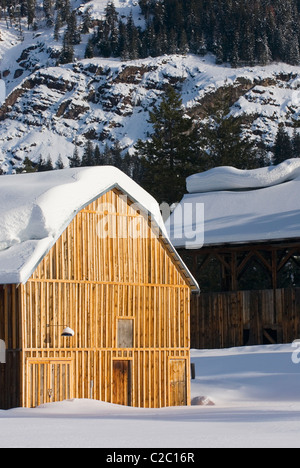 Schneebedeckte Scheunen in den oberen Methow Valley-Washington-USA Stockfoto