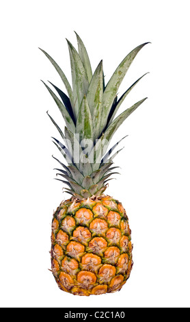 Ganze Ananas isoliert auf weißem Hintergrund Stockfoto