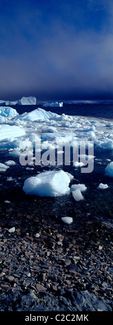Eisberge säumen die Untiefen des eine robuste Diorit Insel Küste. Stockfoto