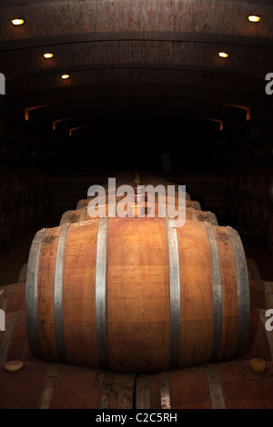 Weinfässer im Keller, Undurraga Weinberg, Maipo Valley, Chile, Südamerika. Stockfoto