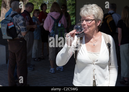 Frau trinken Rotwein aus einem Glas im Freien in der Undurraga Weinberg, Maipo Valley, Chile, Südamerika. Stockfoto