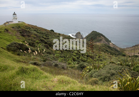 Cape Reinga Nordinsel Neuseeland Stockfoto