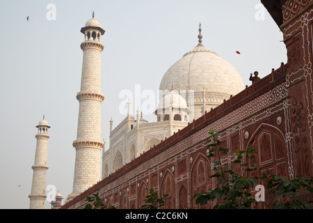 Taj Mahal gesehen von der Rückseite in Agra, Indien. Stockfoto