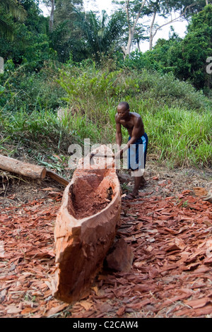 Ein Holzfäller machen einen Einbaum, Betou, Ubangi Fluß, Republik Kongo Stockfoto