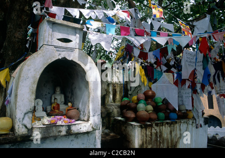 Nische mit sitzender Buddha-Statue, Pattini Devale, Kandy, Zentralprovinz, Sri Lanka Stockfoto