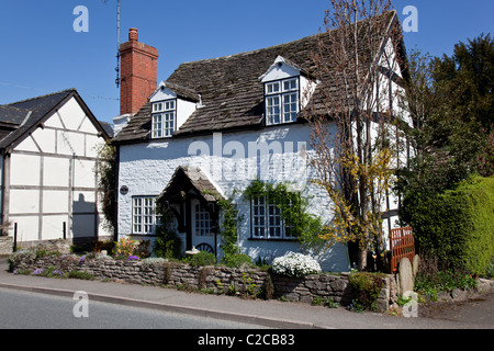 Schwarz und weiß auf dem Land in Eardisley, Herefordshire Stockfoto