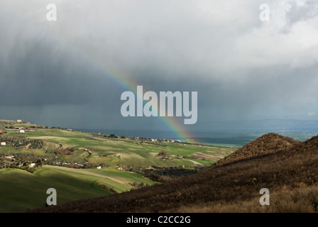 ein Regenbogen über Getreide gekeimt Felder bei bewölktem Himmel. Iliceto, Apulien, Italien Stockfoto