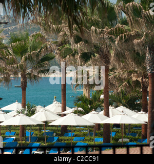 Blick auf leeren Pool Seite Lounge Stühle, sitzen inmitten von Palmen, mit Blick auf den Ozean. Stockfoto