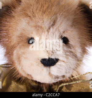 Eine Nahaufnahme von einem Real-Pelz-Teddybär. Stockfoto