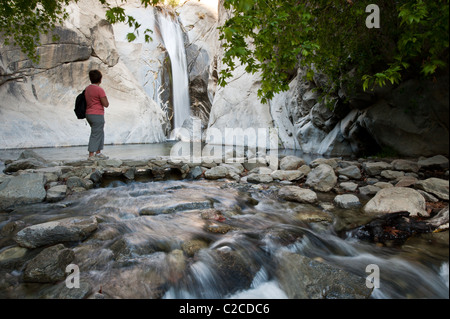 Palm Springs, Kalifornien. Wandern in der Nähe Tahquitz fällt, Tahquitz Canyon. (MR) Stockfoto