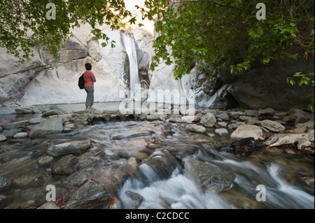 Palm Springs, Kalifornien. Wandern in der Nähe Tahquitz fällt, Tahquitz Canyon. (MR) Stockfoto