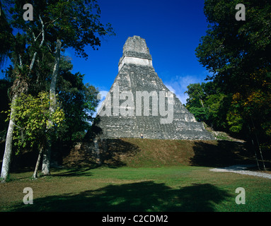 Tikal National Park-Guatemala Stockfoto