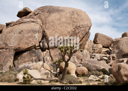 Kalifornien. Jumbo Rocks, Joshua Tree Nationalpark. Stockfoto