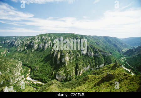 Gorges De Tarn-Languedoc-Frankreich Stockfoto