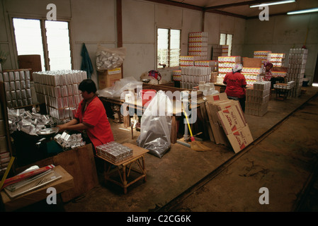 BOH Tee Plantage Westküste Malaysia Stockfoto