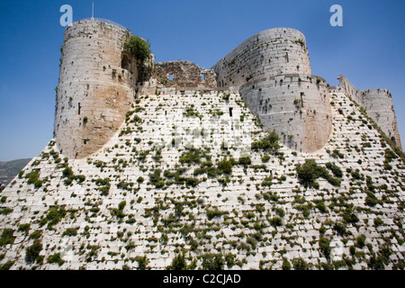 Krak De Chevaliers Syrien Stockfoto