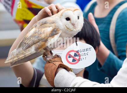 Eine Schleiereule verbindet rund 4.000 Menschen an einer Demonstration gegen Atomkraft in Tokio, Japan Stockfoto